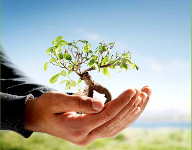 �evre Dostu Isletme